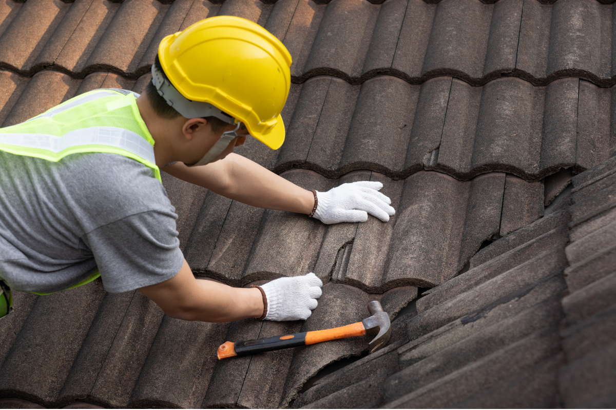 Roof Renovation